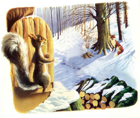 قصه کودکانه «سنجاب بازیگوش»-داستانهای مصور رنگی برای کودکان-ارشیو قصه و داستان ایپابفا